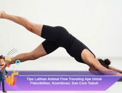 Tips Latihan Animal Flow Traveling Ape Untuk Fleksibilitas, Koordinasi, Dan Core Tubuh