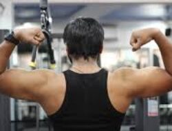 Latihan Gym Pemula Agar Tubuh Kuat Stabil Tanpa Risiko Cedera Berlebihan Aman Optimal