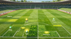 Mengenal Jenis-Jenis Rumput Stadion Sepak Bola Standar Internasional Paling Bagus